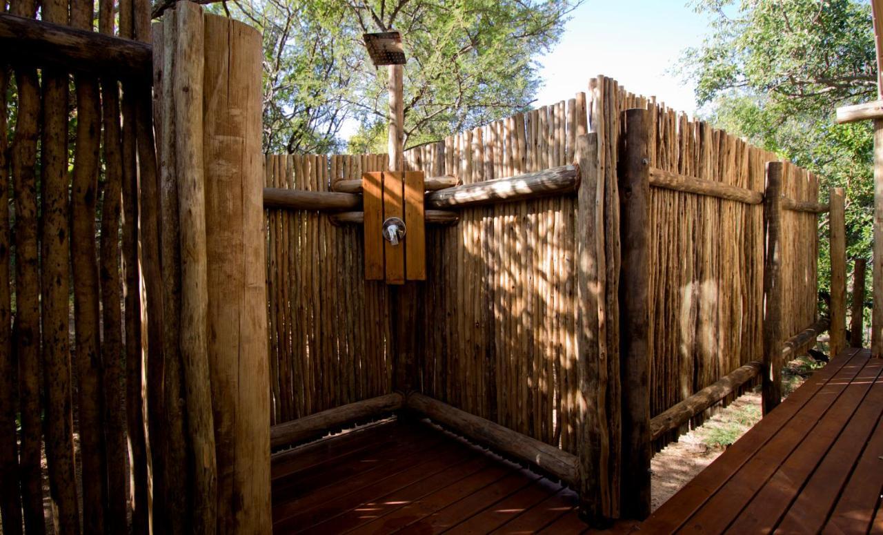 Cape Vulture Conservancy هويدزبروت المظهر الخارجي الصورة